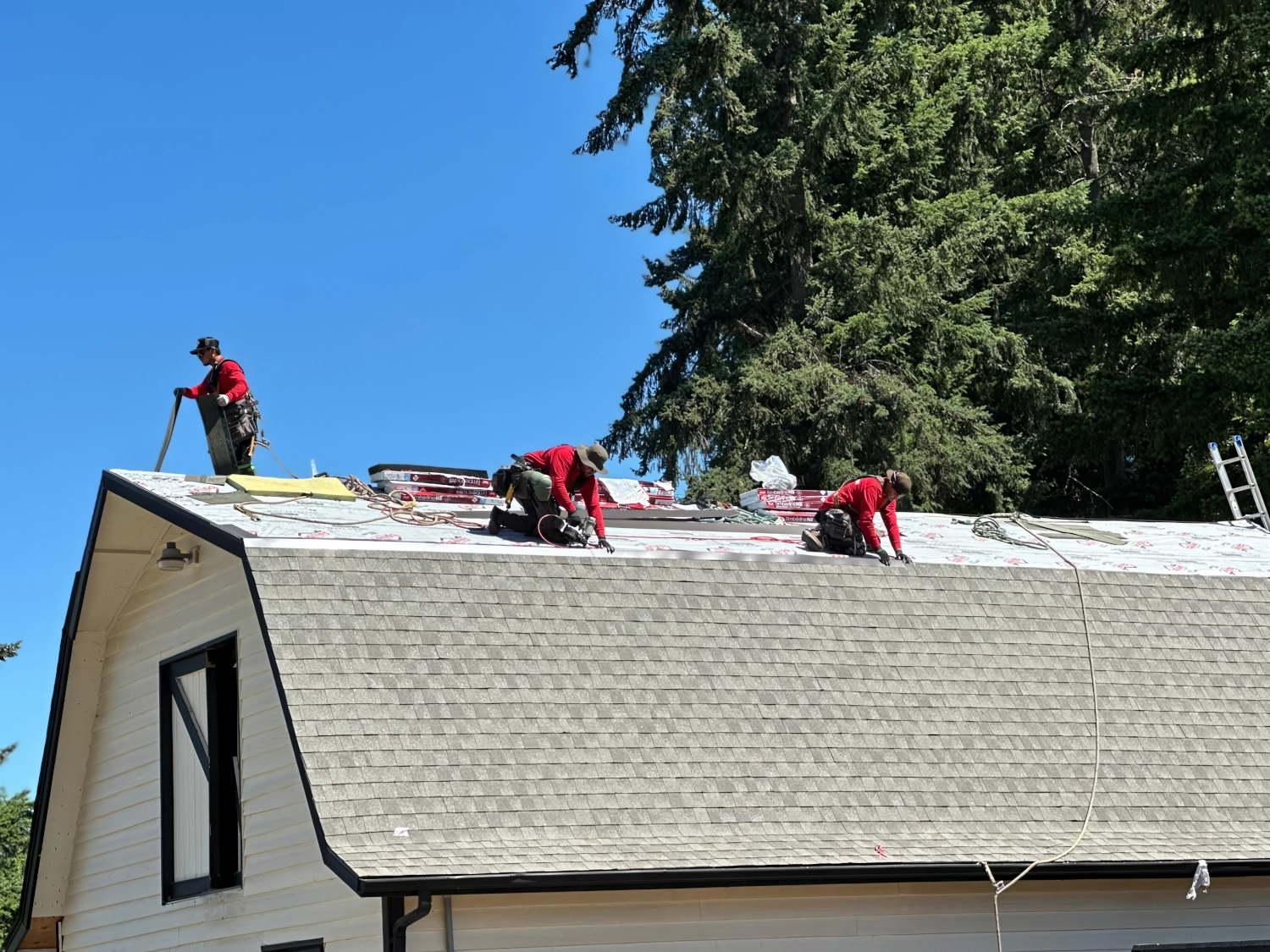 Grizzly Roofing