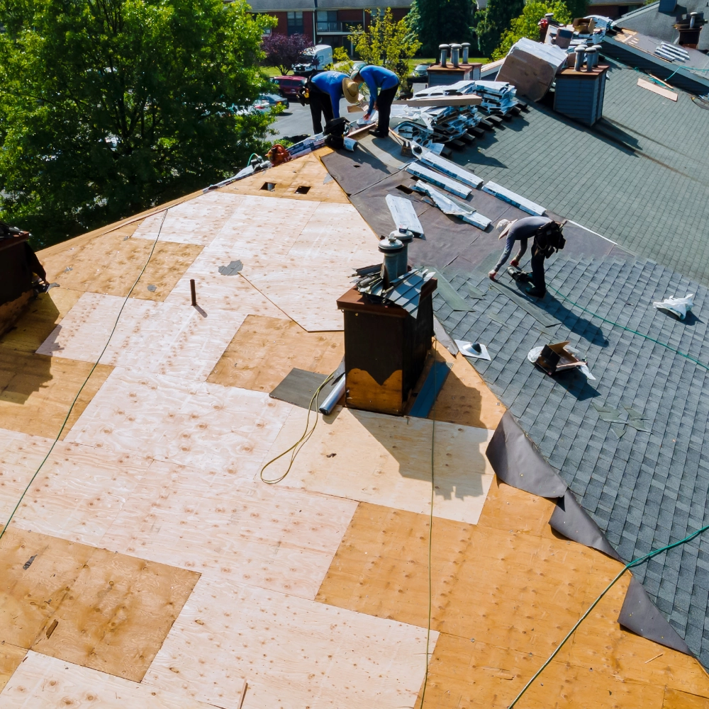 Imagen de New Roof Installation